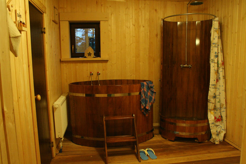 Только польза для здоровья: душевая кабина в бане