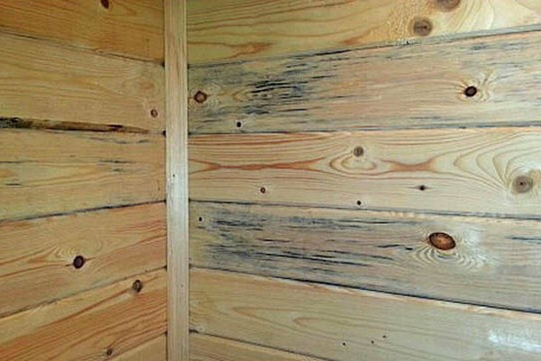Как правильно обработать деревянный пол в бане от плесени и гниения — строительство и отделка — полезные советы от специалистов