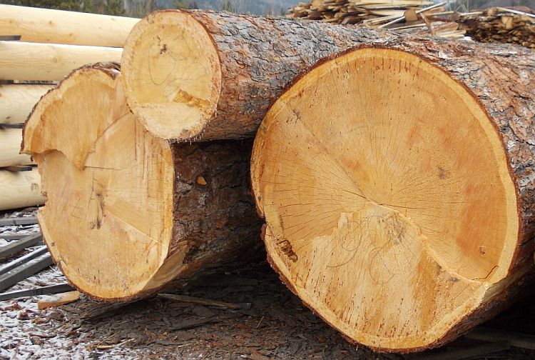 Дерево для бани и сауны: выбираем древесину для строительства и отделки бани, а также средства, чем обработать материал