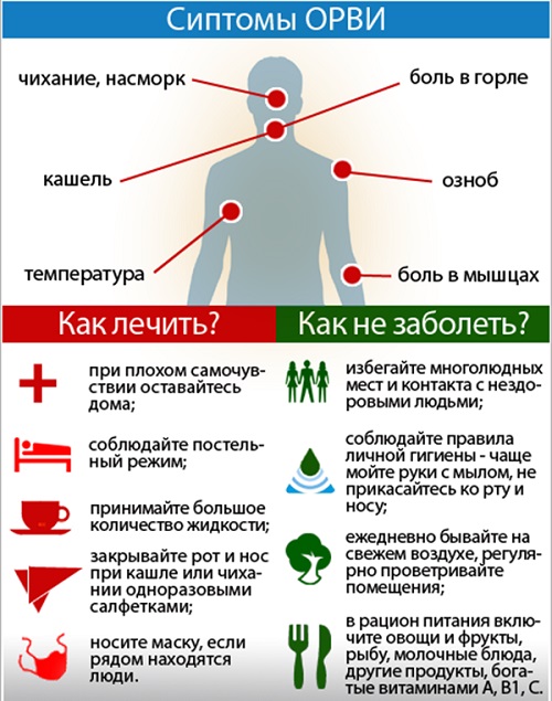 Можно ли париться в бане при простуде, кашле и насморке pulmono.ru
можно ли париться в бане при простуде, кашле и насморке