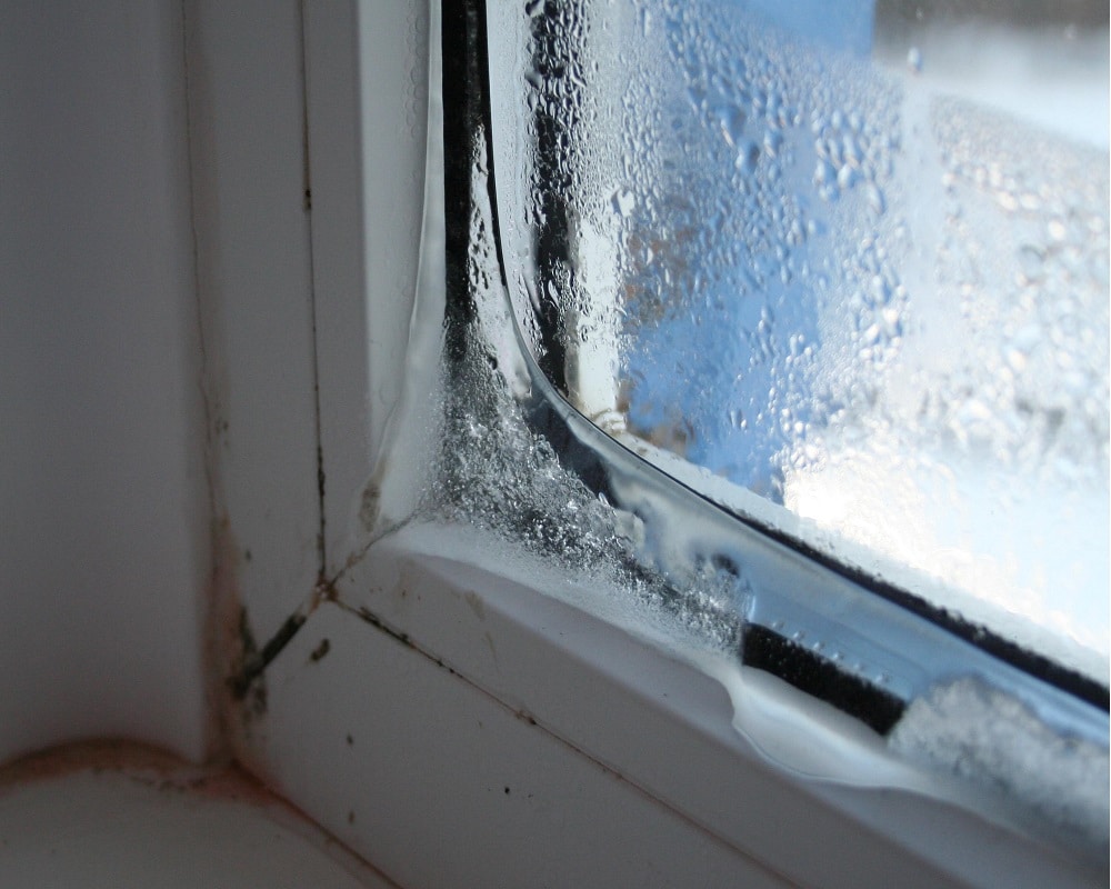 Почему окна "плачут": возможные причины и способы решения проблемы