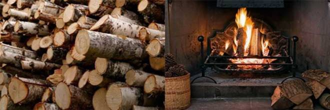 Температура в печи на дровах: в зависимости от вида дров