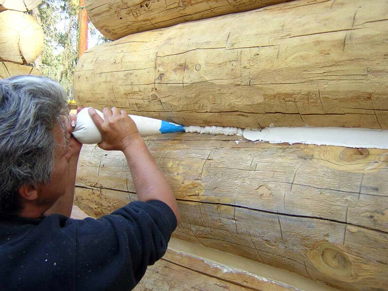 Обработка бани от плесени и грибка: как избавиться, средство для дерева
