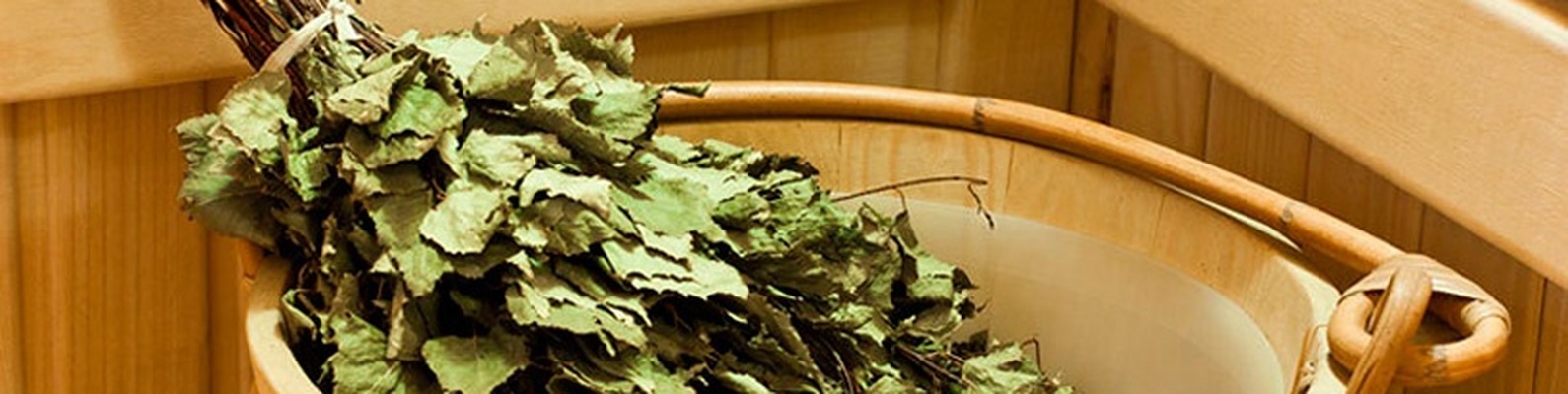 Березовые веники (15 фото): лучше ли они дубовых? польза и вред веников для бани. свойства листьев берез. как хранить веники?