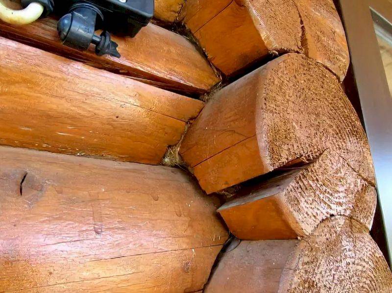 Самые страшные ошибки деревянного строительства – статьи о ремонте и строительстве – диванди