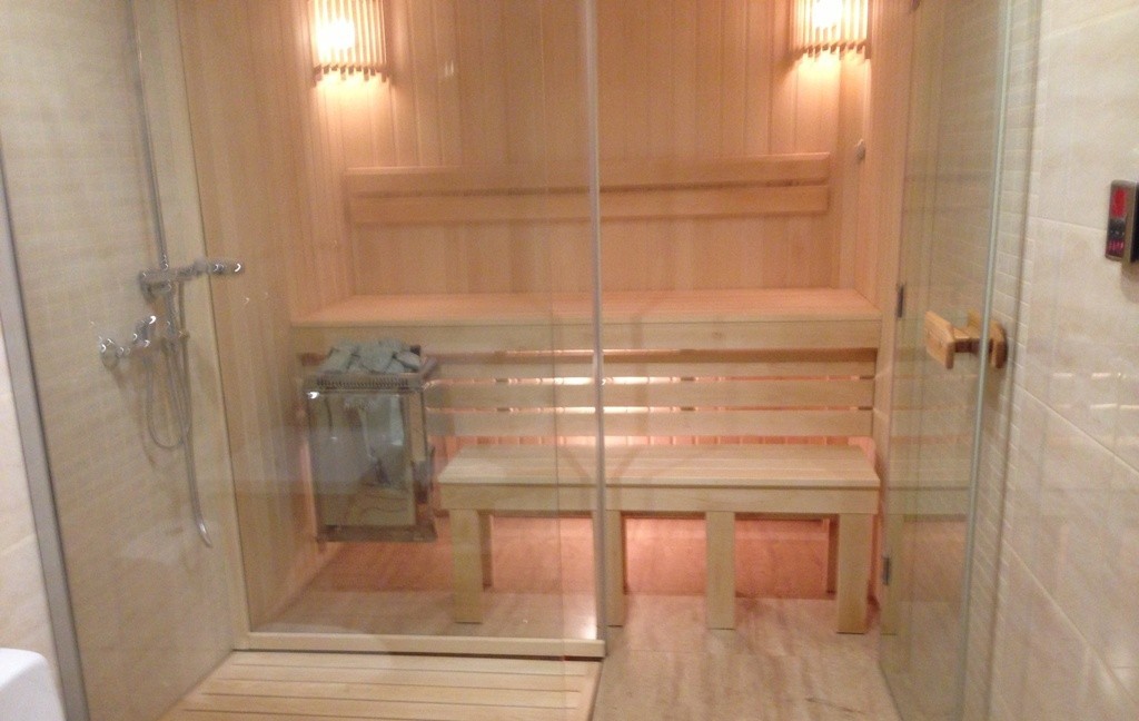 Стеклянные двери для бани (49 фото): конструкции из матового стекла по размерам с коробкой, отзывы