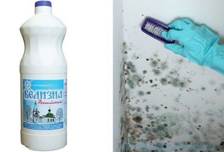 Как избавиться от плесени на стенах в квартире своими руками: средства народные и химические