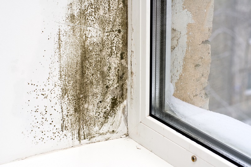 Конденсат на окнах внутри квартиры: почему образуется и как избавиться