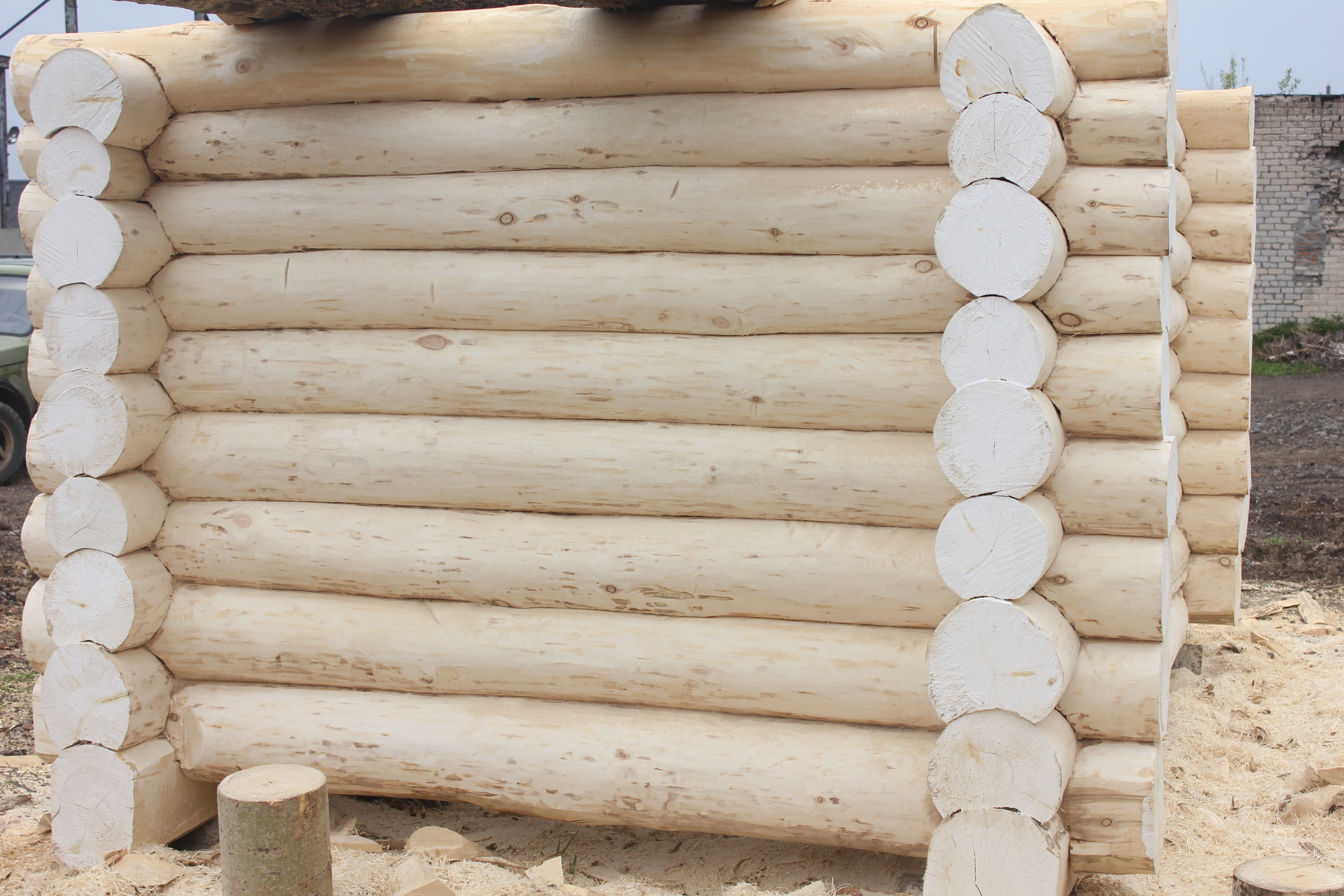 Осина для бани: плюсы и минусы сруба бани из осины, как построить своими руками баню из осинового бруса, фото и видео