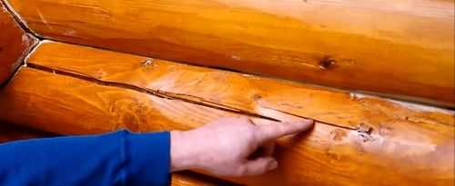 Трещины в бревнах (брусьях) сруба: способы профилактики и заделки древесных дефектов