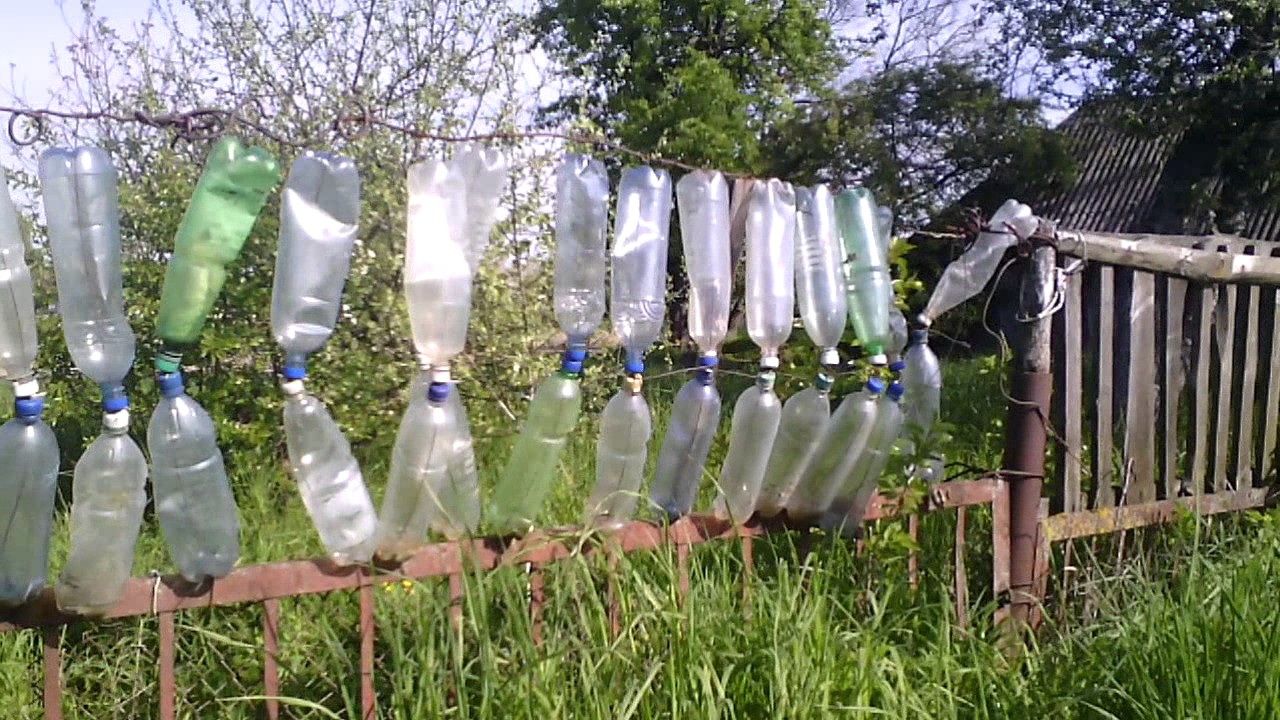 Как сделать оригинальные поделки из бутылок для сада и огорода. мастер-класс для начинающих