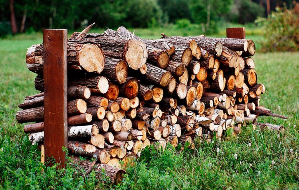 Какие выбрать дрова для бани?
