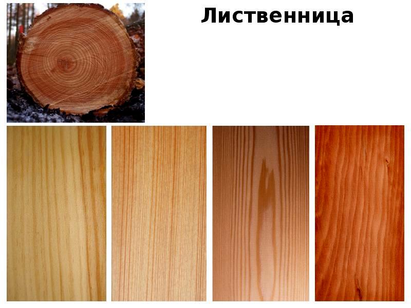 Вагонка для бани, какая древесина лучше: липа, осина или ольха