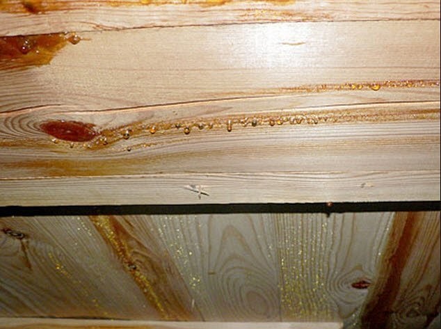 Как убрать плесень с деревянных поверхностей в домашних условиях