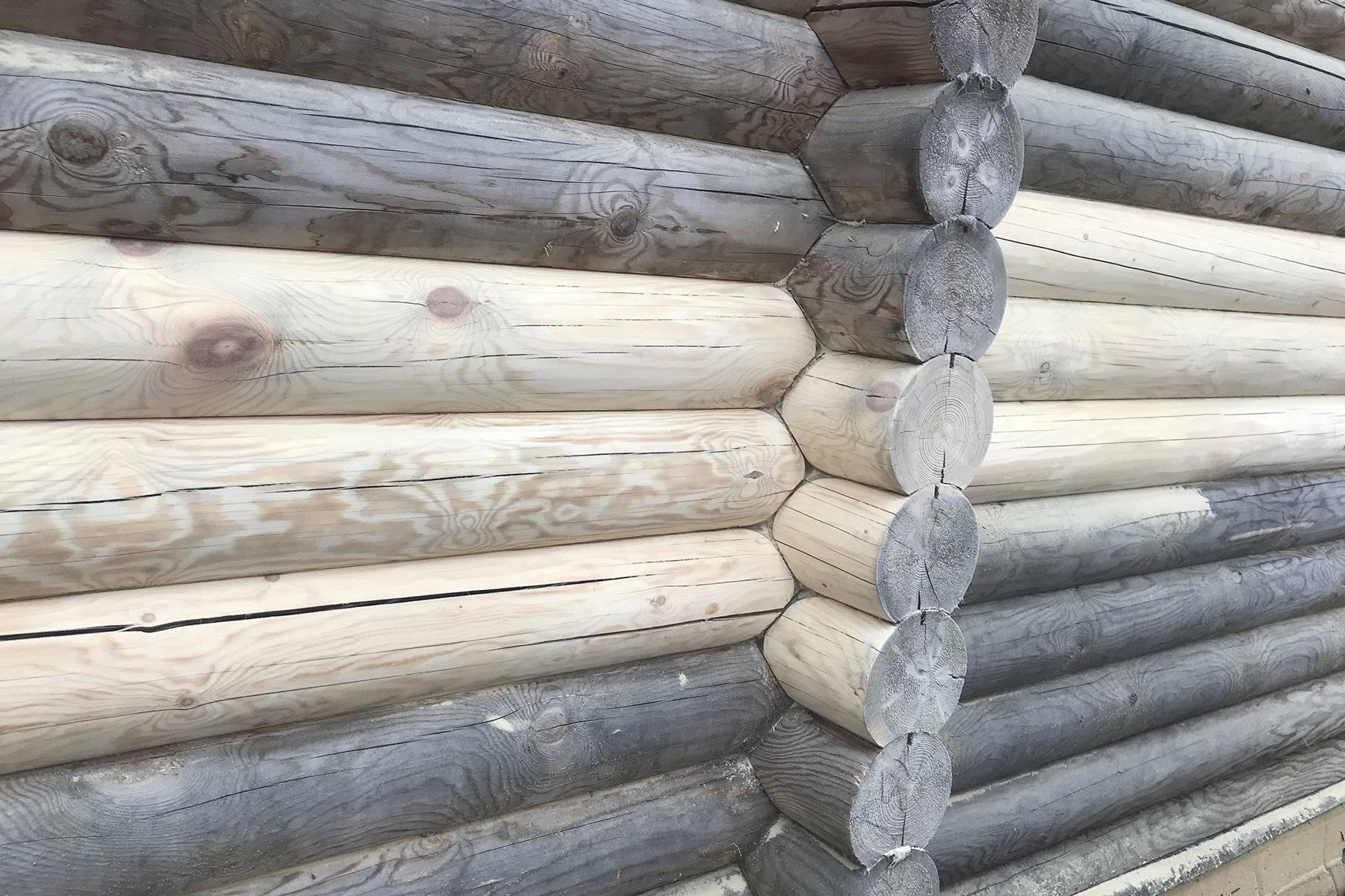 Строительство сауны своими руками: этапы с пошаговым процессом строительства сауны в доме - stroyday.ru