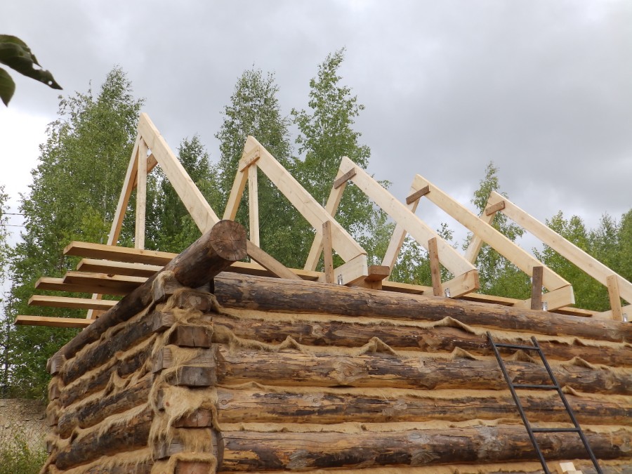 Как правильно строить баню с односкатной крышей: пошаговый инструктаж