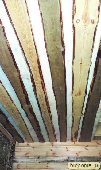 Потолок в бане: 3 метода обустройства | beaver-news.ru