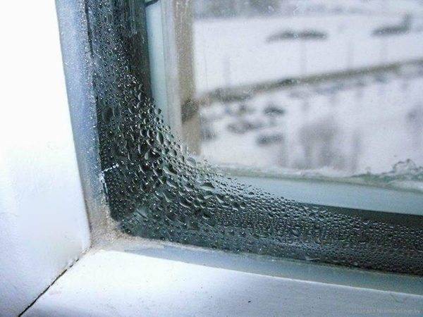 Потеют окна в частном доме: что делать и где искать причины?
