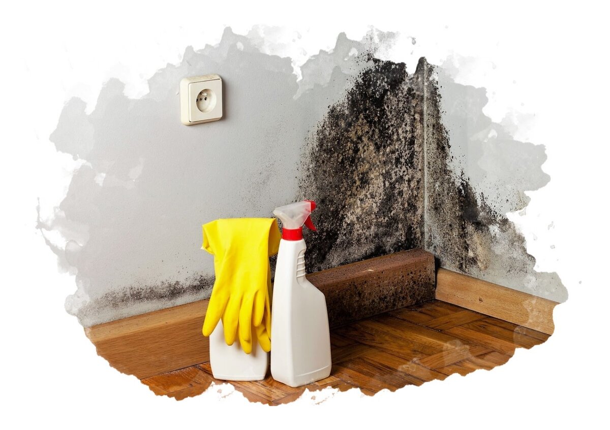 Как избавиться от плесени на стенах в квартире и доме навсегда, с помощью народных средств и бытовой химии