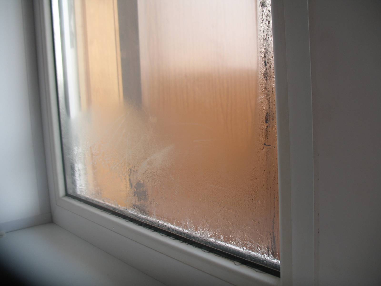Что делать если потеют окна в доме? причины, способы решения