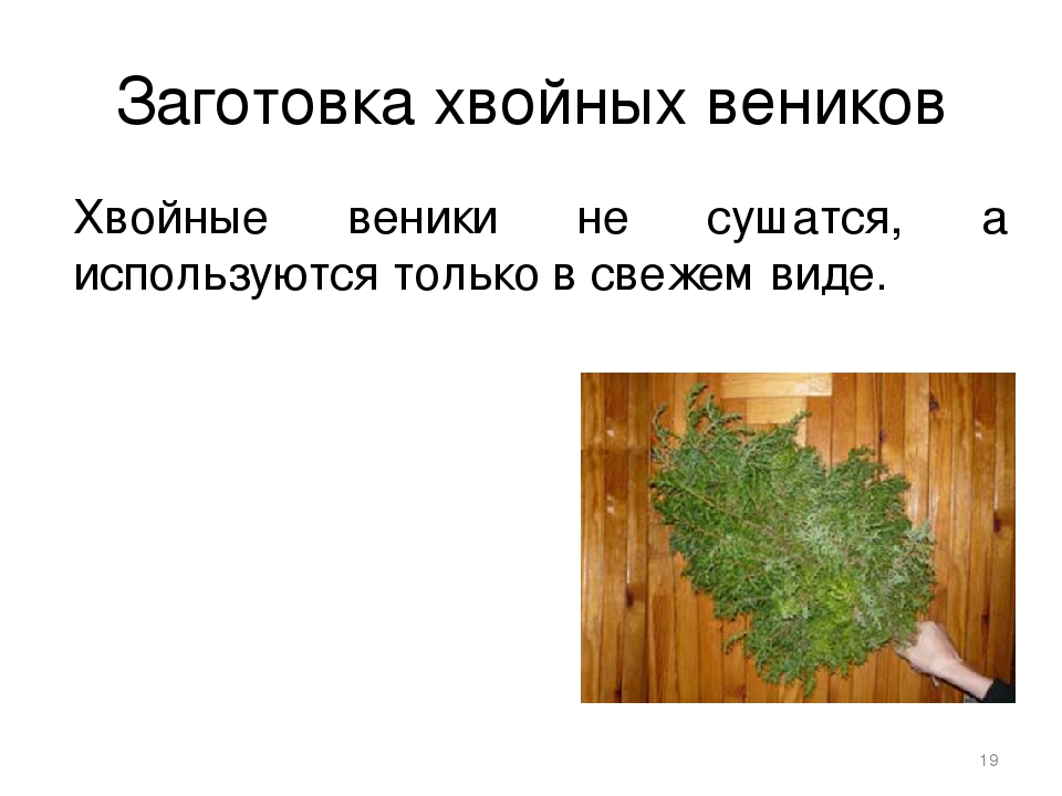 Как заготовить правильный березовый веник для русской бани