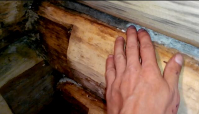 Чем обработать деревянную поверхность от грибка и плесени?