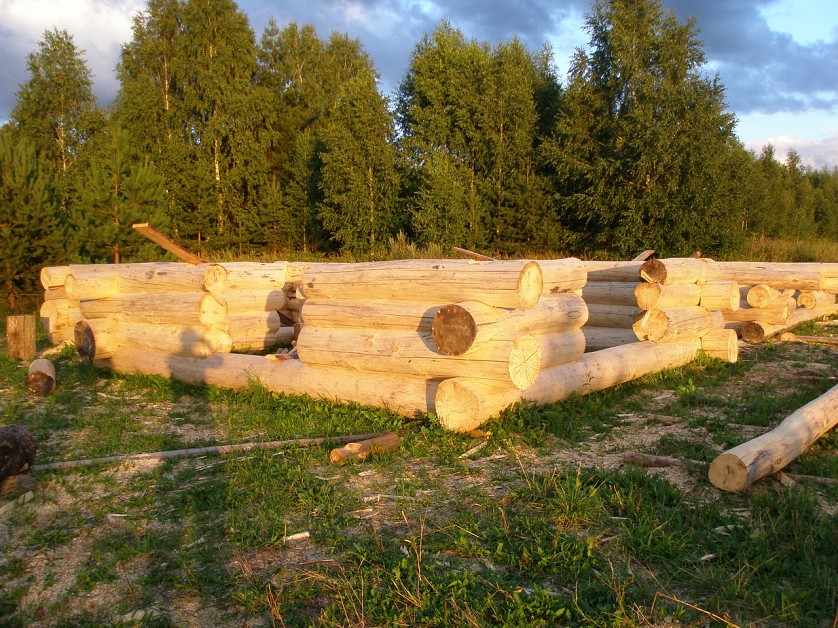 Как построить баню из осины: особенности деревозаготовки + монтажные работы