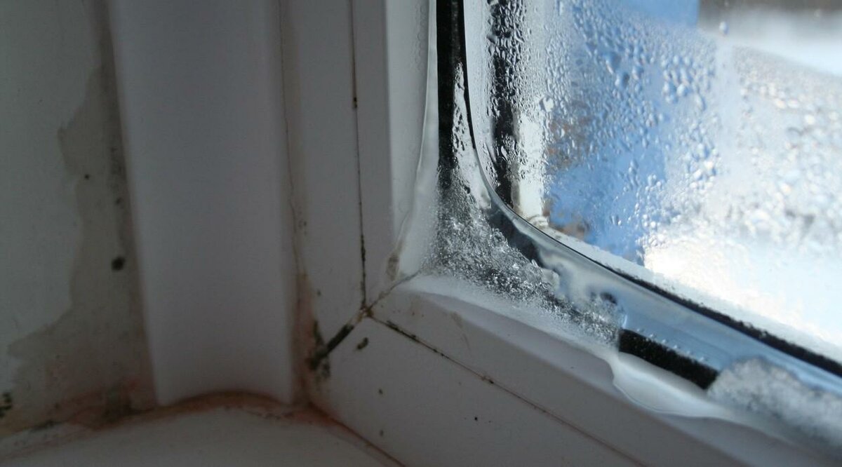 Почему сильно потеют пластиковые окна и что делать в этой ситуации? /