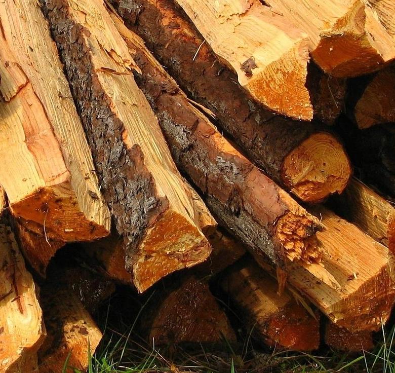Какие дрова лучше выбрать для печки в частном доме
