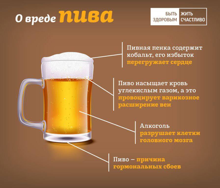 Алкоголь и баня: можно ли пить пиво в сауне, какими последствиями это грозит?
