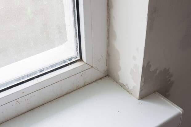 Почему потеют пластиковые окна в доме и что делать? - ответ эксперта