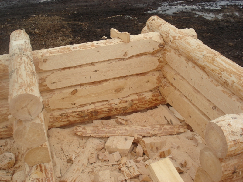 Строительство бани из бревна – пошаговая технология
