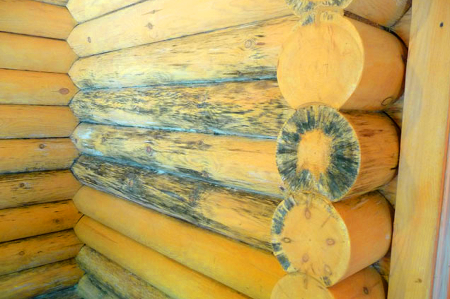 Обработка древесины антисептиком
