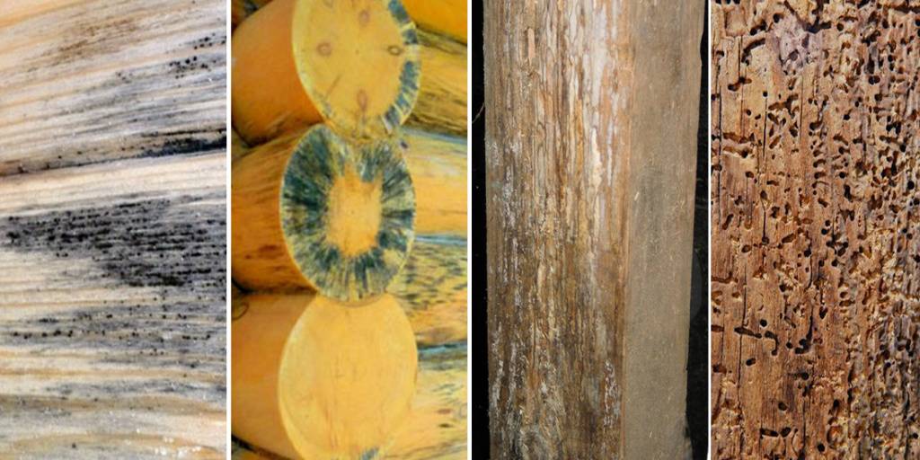 Как избавиться от плесени на древесине: подручные средства и специальные растворы
