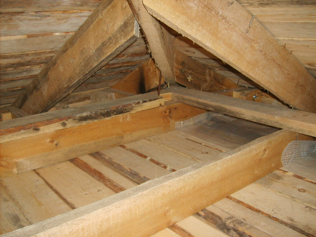 Утепление потолка в бане (82 фото): как и чем утеплить помещение с холодной крышей, выбор утеплителя, утепление со стороны чердака